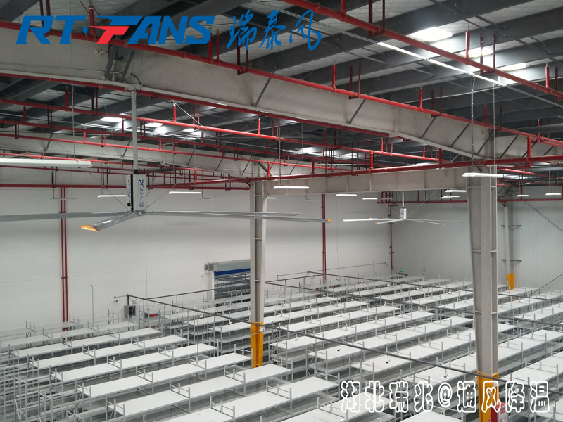 工業(yè)大風(fēng)扇具體的通風(fēng)降溫效果怎么樣，有什么作用呢